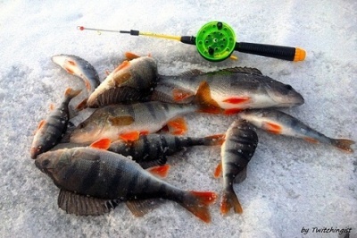samarafishing 1.jpg