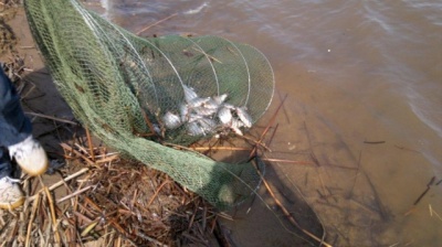 2012-04-21-056.jpg