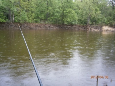 P4300001.JPG