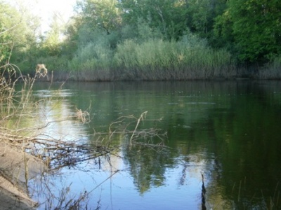 P5010003.JPG