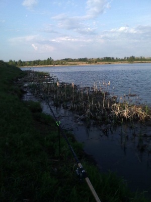 IMG00005.jpg