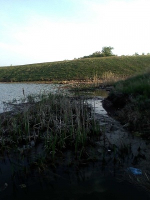IMG00006.jpg