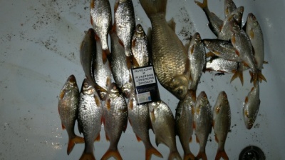 28052012343.jpg