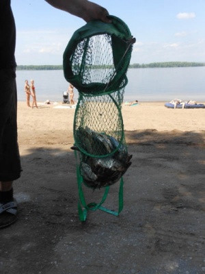 DSCN1100а.jpg