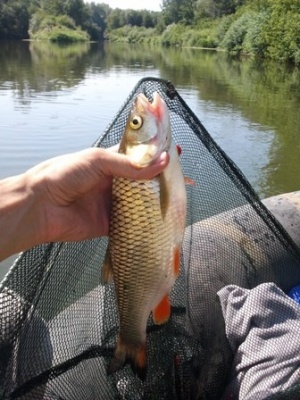2012-07-15 10.44.09_mini.jpg