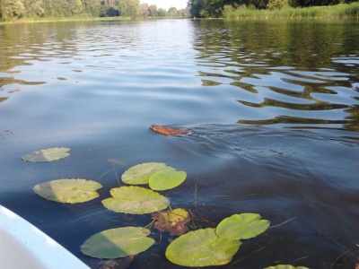 2012-08-02 18.08.57.jpg