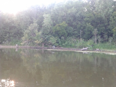 2012-08-02 18.21.52.jpg