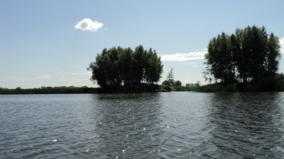 DSC03664.JPG