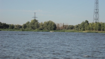 DSC03659.JPG