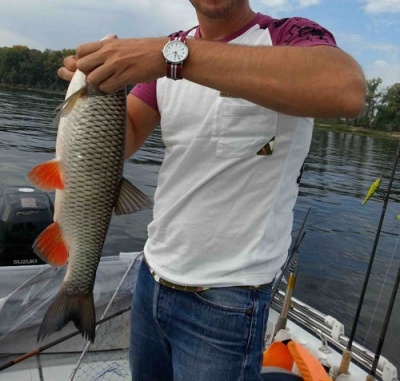 20120907_115455.jpg