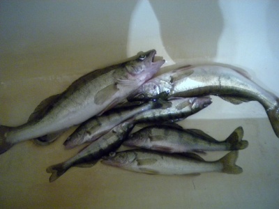 DSCN3232.JPG