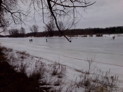 IMG_20130323_134749.jpg