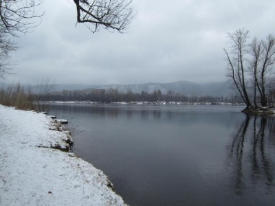 IMG_6315.jpg