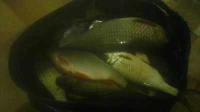 28042013057.jpg