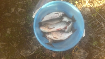 29042013059.jpg