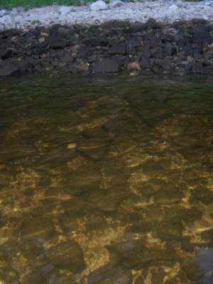 100_3621.JPG