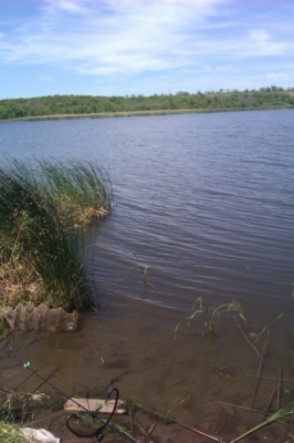 IMAG0218.jpg