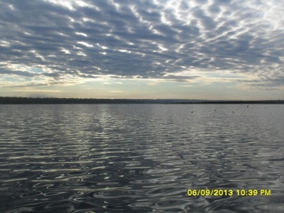 SDC11717.jpg