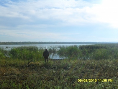 SDC11699.JPG