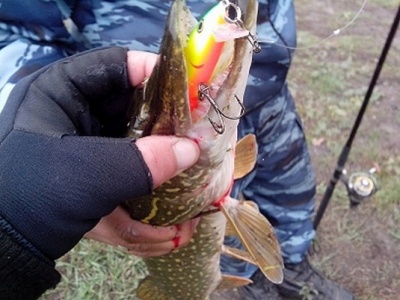 IMG_20131008_114654.jpg