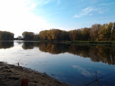 2012-09-23 17.10.08.jpg
