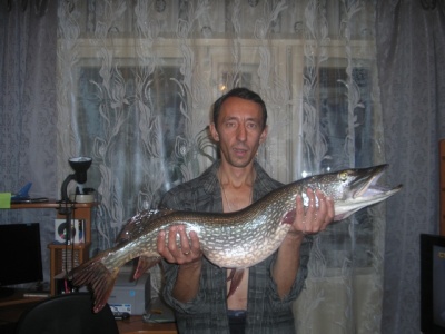 P1010280.JPG