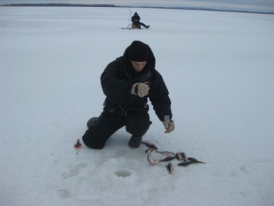 IMG_7792 3.jpg