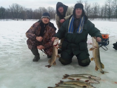 IMG_20140112_133339.jpg