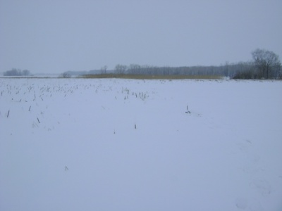 DSC06528.JPG