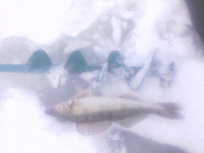 IMG0026A.jpg