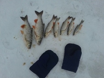 20140228_141856.jpg