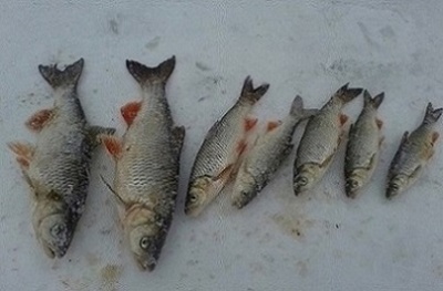 20140228_141935.jpg