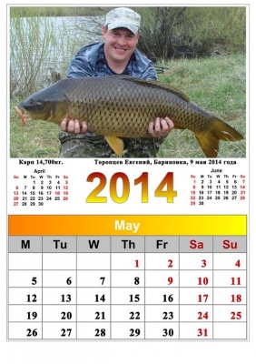 Carp May2014.jpg