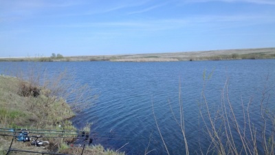 IMG_20140510_094412.jpg