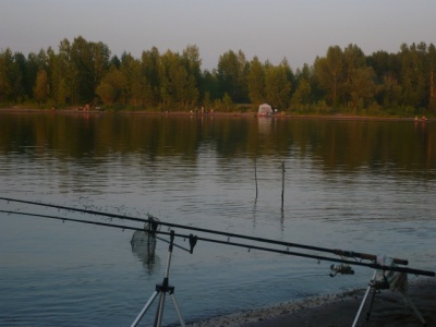 P1030749.JPG