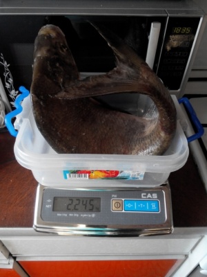 2014716183353.jpg