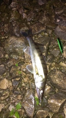 IMAG0921.jpg
