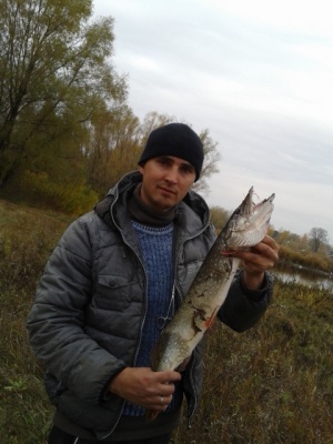 WP_20141010.jpg