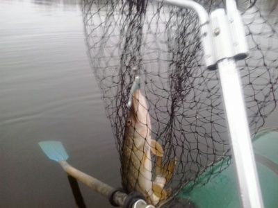 20141115_082628.jpg