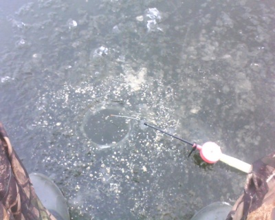 IMG0581A.jpg