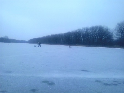 20141213_134052.jpg