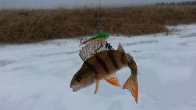 20141218_135155.jpg