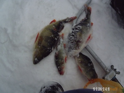 PICT0043.JPG
