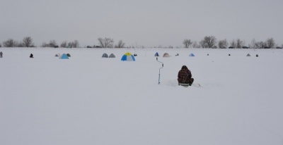 016_4964_cr.jpg