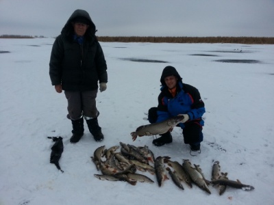20150105_142220.jpg