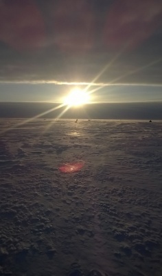 WP_20150107_09_53_18_Pro.jpg