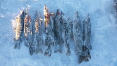 20150117_162014.jpg