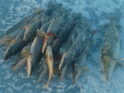 20150131_171035.jpg