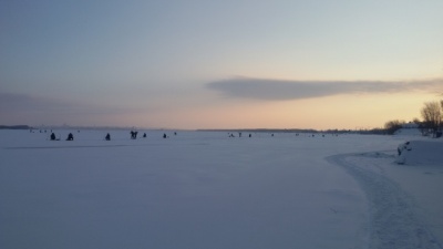 20150207_090739.jpg