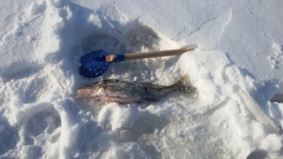 20150207_111949.jpg